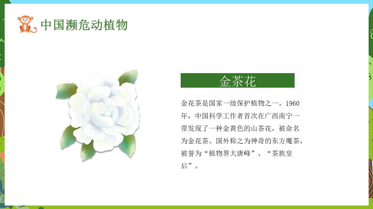 节日班会 (20).pptx